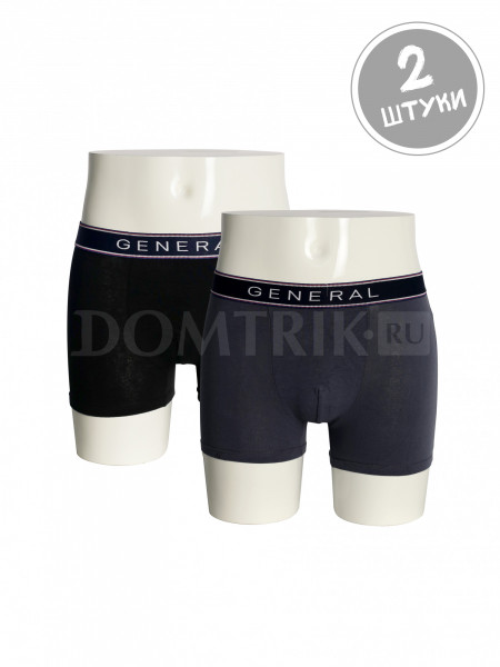 Мужские трусы GENERAL 5540 упаковка 2 шт Мужские трусы GENERAL 5540 упаковка 2 шт